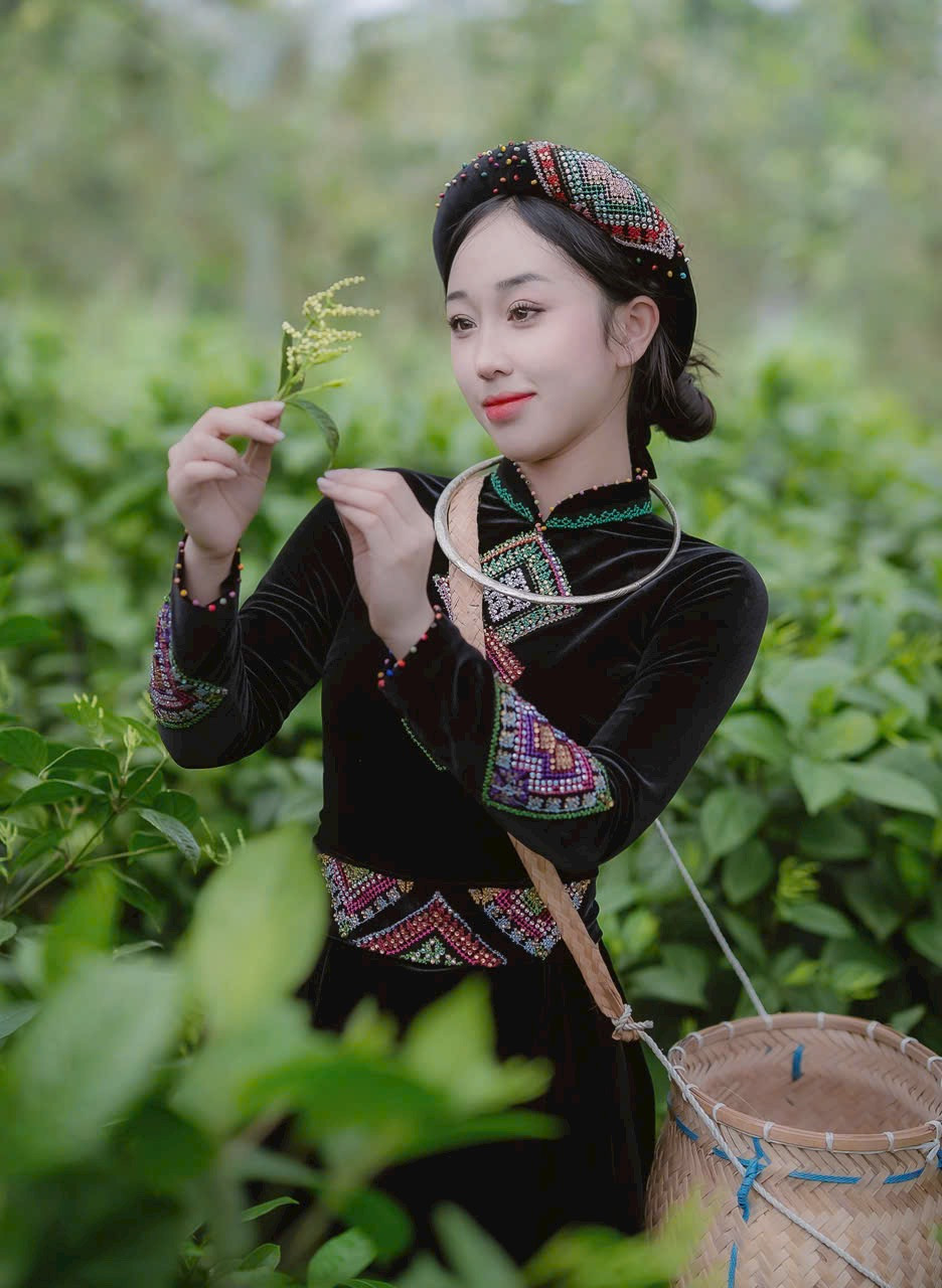 Cao Giang hái chè non giữa đồi chè Tân Cương trong sương sớm ghi lại vẻ đẹp lao động truyền thống với tất cả sự trân trọng. Cao Giang hái chè non giữa đồi chè Tân Cương trong sương sớm ghi lại vẻ đẹp lao động truyền thống với tất cả sự trân trọng.