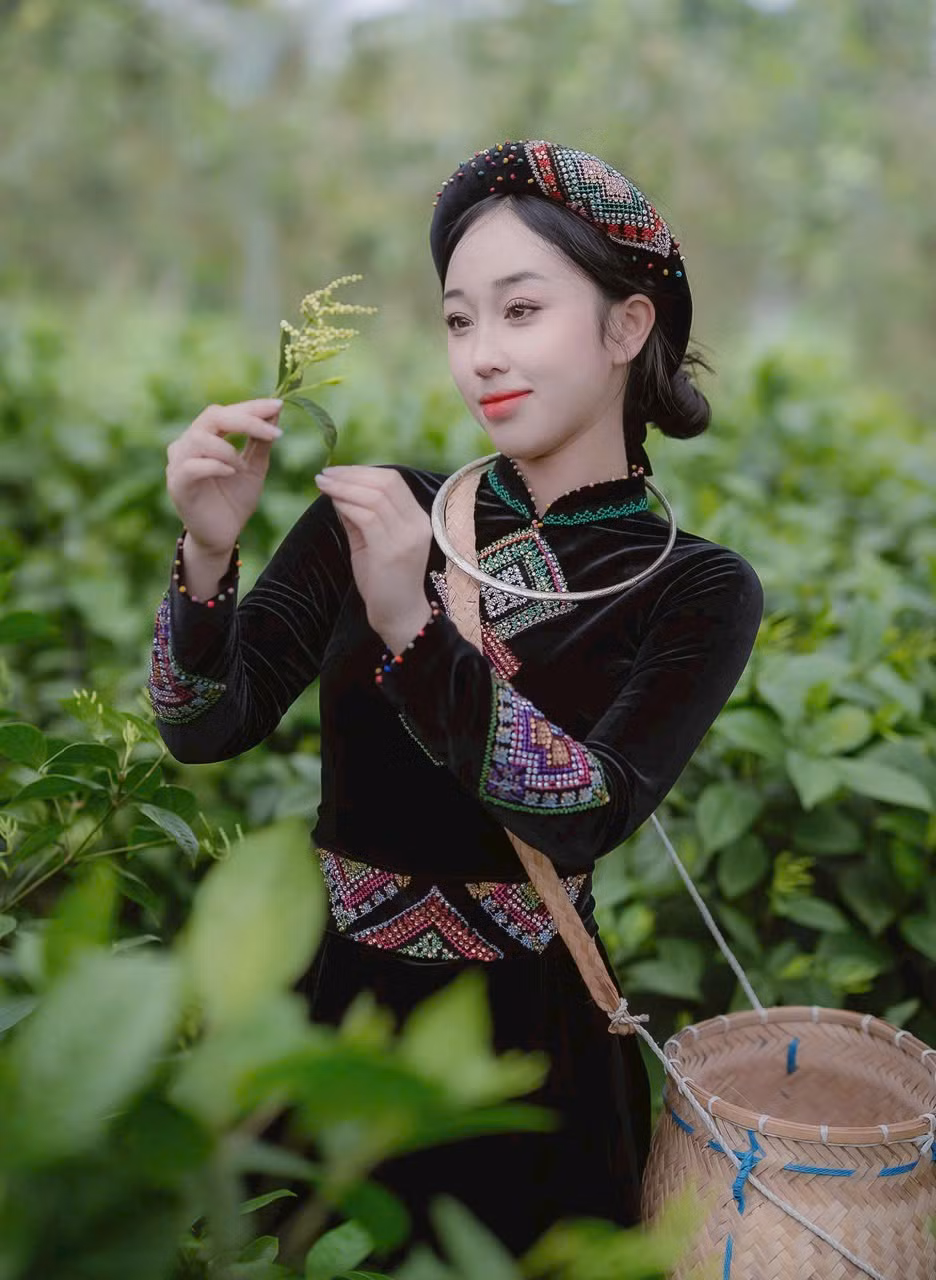 Cao Giang hái chè non giữa đồi chè Tân Cương trong sương sớm ghi lại vẻ đẹp lao động truyền thống với tất cả sự trân trọng. Cao Giang hái chè non giữa đồi chè Tân Cương trong sương sớm ghi lại vẻ đẹp lao động truyền thống với tất cả sự trân trọng.