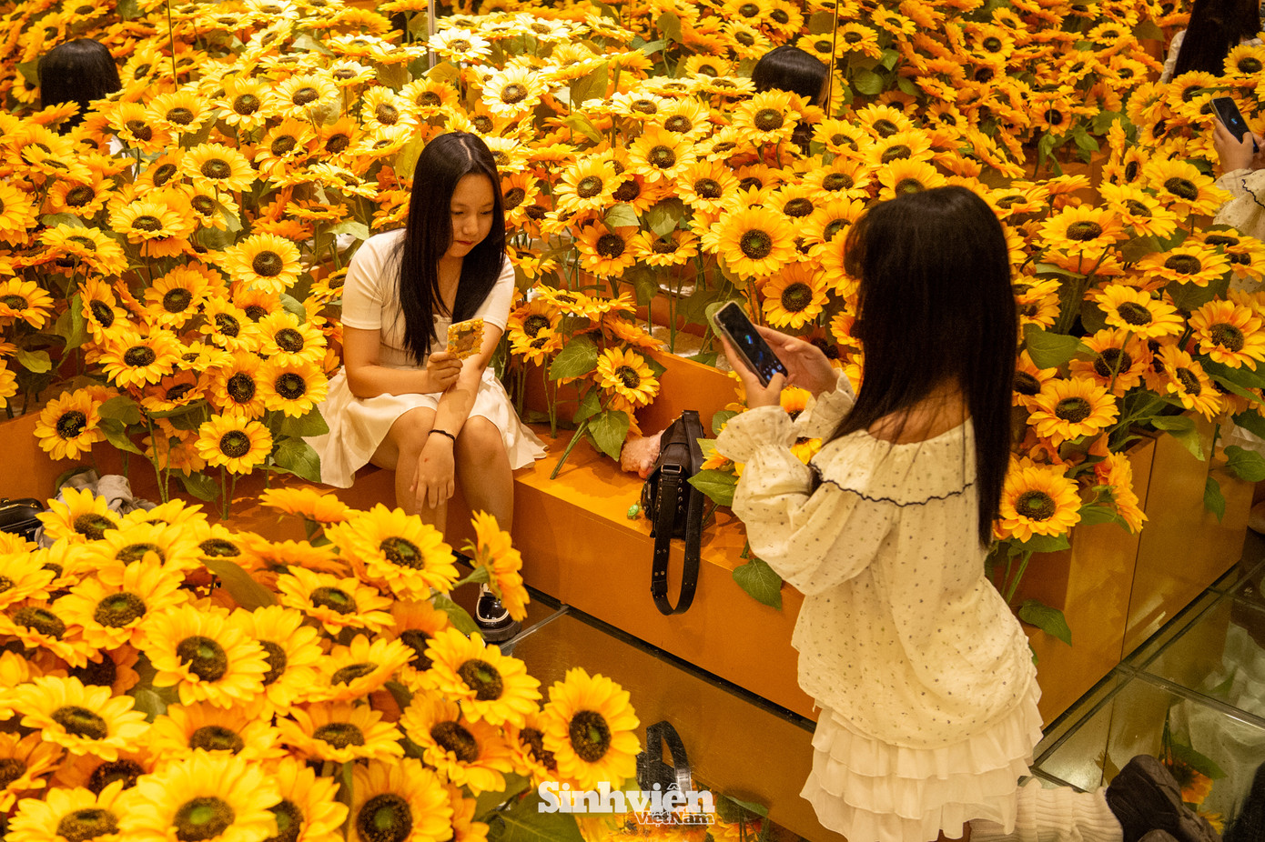 Bạn Khánh Vy (quận Hà Đông) hào hứng chia sẻ về trải nghiệm của mình: "Chúng mình biết đến triển lãm này qua TikTok. Ngay khi bước chân vào, không gian bài trí ở đây đã gây ấn tượng mạnh mẽ với chúng mình. Đặc biệt, căn phòng hoa hướng dương chính là góc chụp mà cả hai yêu thích nhất. Chắc chắn chúng mình sẽ quay lại để 'check-in' thêm nhiều lần nữa."