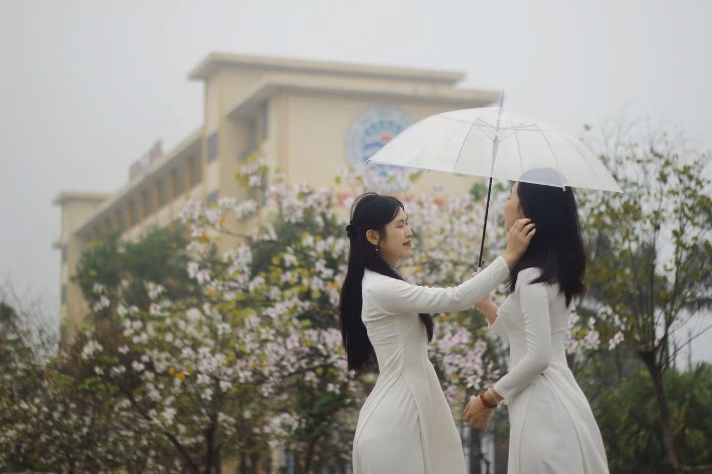 Có lẽ sau này, khi ngoảnh nhìn lại, ai cũng sẽ nhớ về những mùa hoa ban tháng Ba – mùa của những nỗ lực không ngừng, mùa của những tình bạn đẹp và những giấc mơ đang dần thành hình.