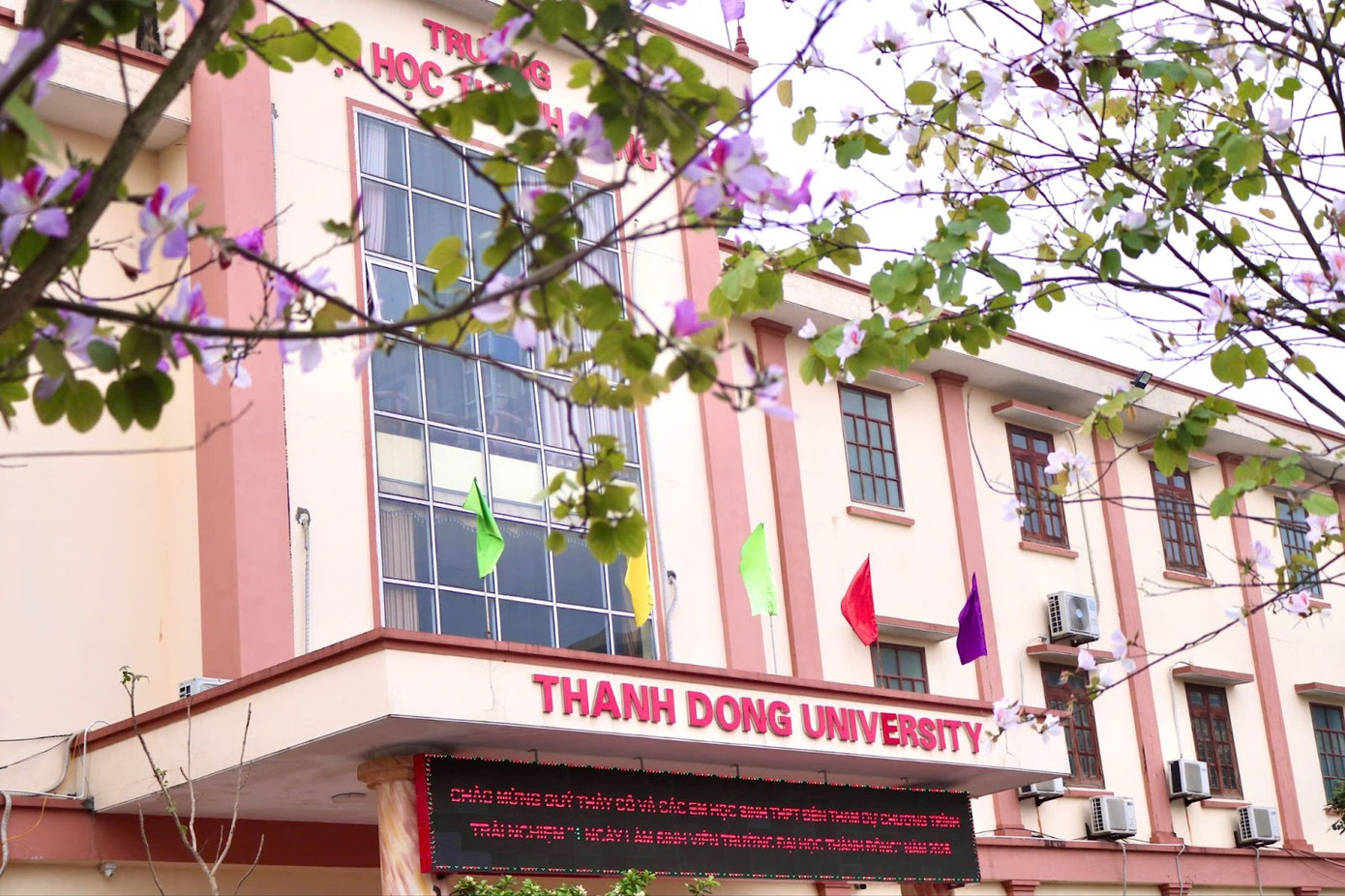 Mỗi mùa hoa ban nở, khuôn viên trường lại khoác lên mình một dáng vẻ vừa thơ mộng, vừa hoài niệm. Dưới những tán ban rung rinh trong gió, bước chân sinh viên như chậm lại, để lắng nghe lòng mình, để lưu giữ những khoảnh khắc thanh xuân đẹp đẽ.