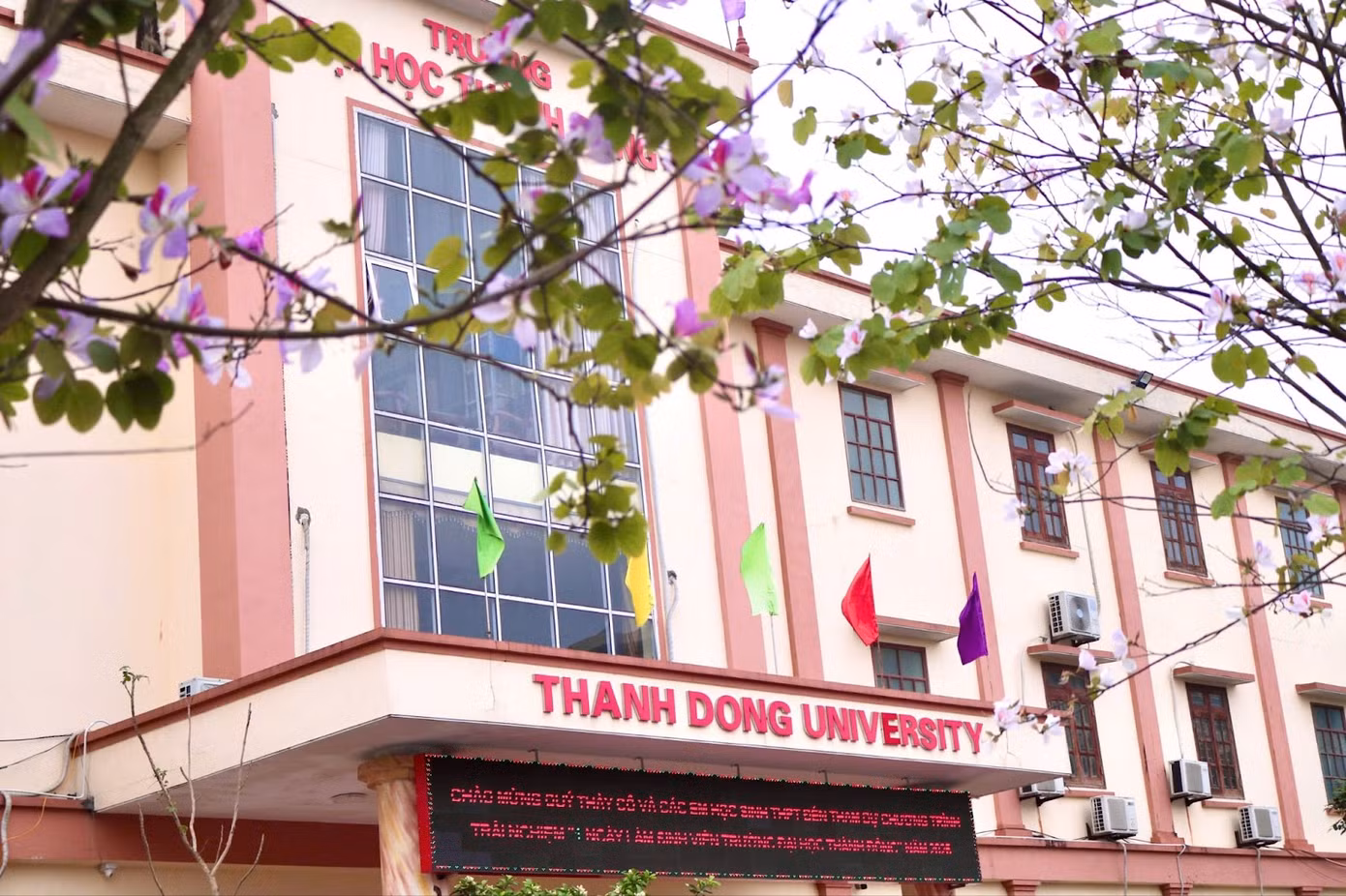 Mỗi mùa hoa ban nở, khuôn viên trường lại khoác lên mình một dáng vẻ vừa thơ mộng, vừa hoài niệm. Dưới những tán ban rung rinh trong gió, bước chân sinh viên như chậm lại, để lắng nghe lòng mình, để lưu giữ những khoảnh khắc thanh xuân đẹp đẽ.