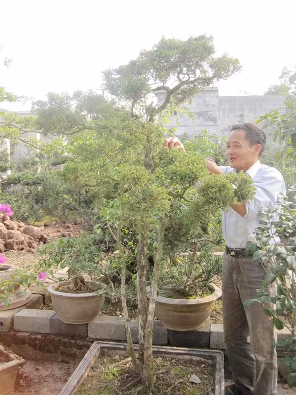 Nghệ nhân trẻ hết lòng vì nghề truyền thống