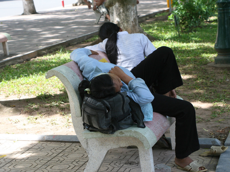 Mệt mỏi vì nắng nóng ảnh 2