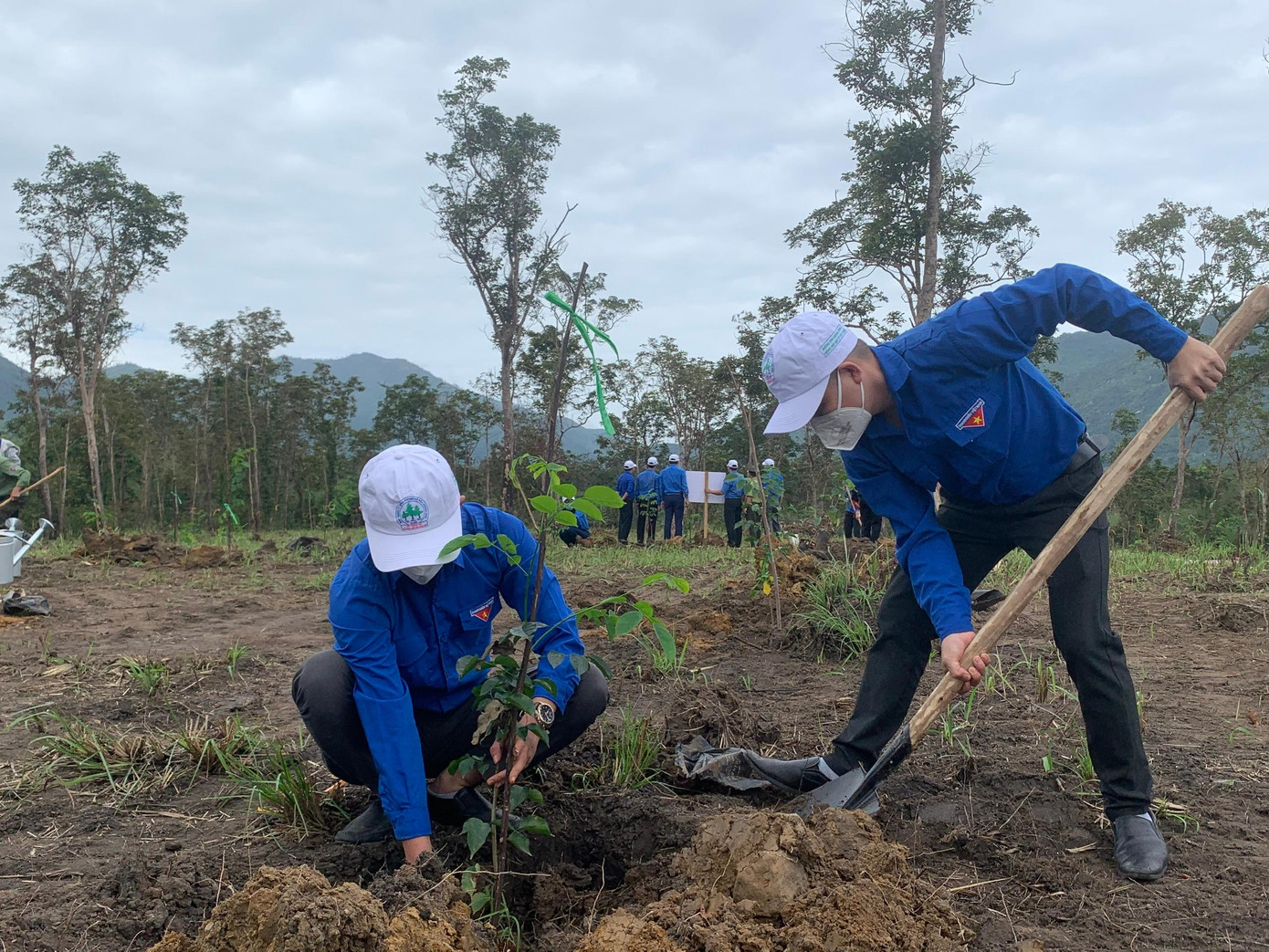 Các đoàn viên, thanh niên trồng cây tại khu vực rừng Căm Xe