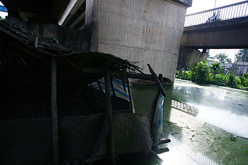  Sinh hoạt, thậm chí nuôi cả lợn, gà phía dưới chân cầu Thăng Long