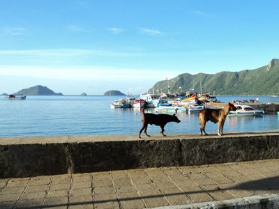 Buổi sáng yên tĩnh vịnh Côn Sơn