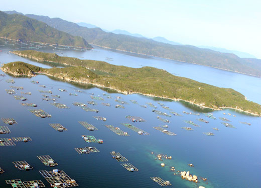 Khảo sát hiện trạng mặt nước Vịnh Vân Phong.