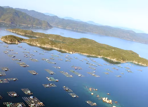 Khảo sát hiện trạng mặt nước Vịnh Vân Phong.