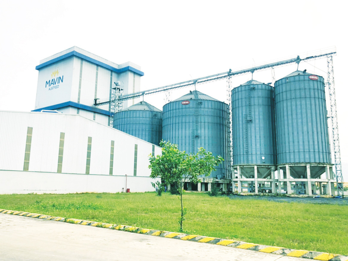 Hệ thống silo hiện đại chứa nguyên liệu tại Nhà máy chế biến thức ăn chăn nuôi Mavin. Hệ thống silo hiện đại chứa nguyên liệu tại Nhà máy chế biến thức ăn chăn nuôi Mavin.