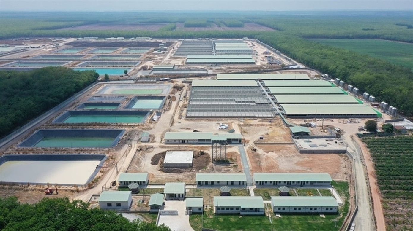 Trang trại chăn nuôi heo công nghệ cao tại Tây Ninh. Trang trại chăn nuôi heo công nghệ cao tại Tây Ninh.