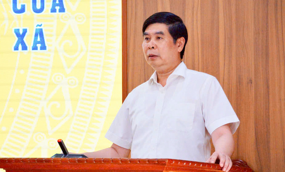 Phó Chủ tịch UBND tỉnh Gia Lai Lâm Hải Giang phát biểu Phó Chủ tịch UBND tỉnh Gia Lai Lâm Hải Giang phát biểu