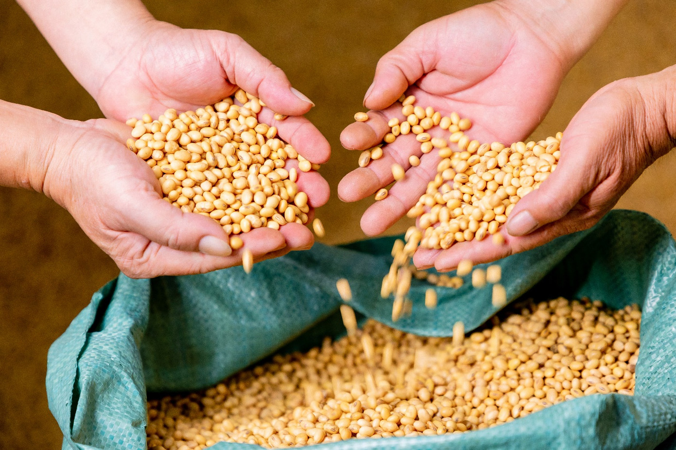 Từ đất, đến người, rồi đến tương lai. Một hạt đậu nhỏ – nhưng hành trình thì không hề nhỏ!