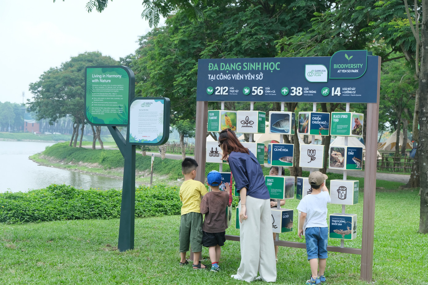 Biển đa dạng sinh học tại công viên Yên Sở, Gamuda City Biển đa dạng sinh học tại công viên Yên Sở, Gamuda City