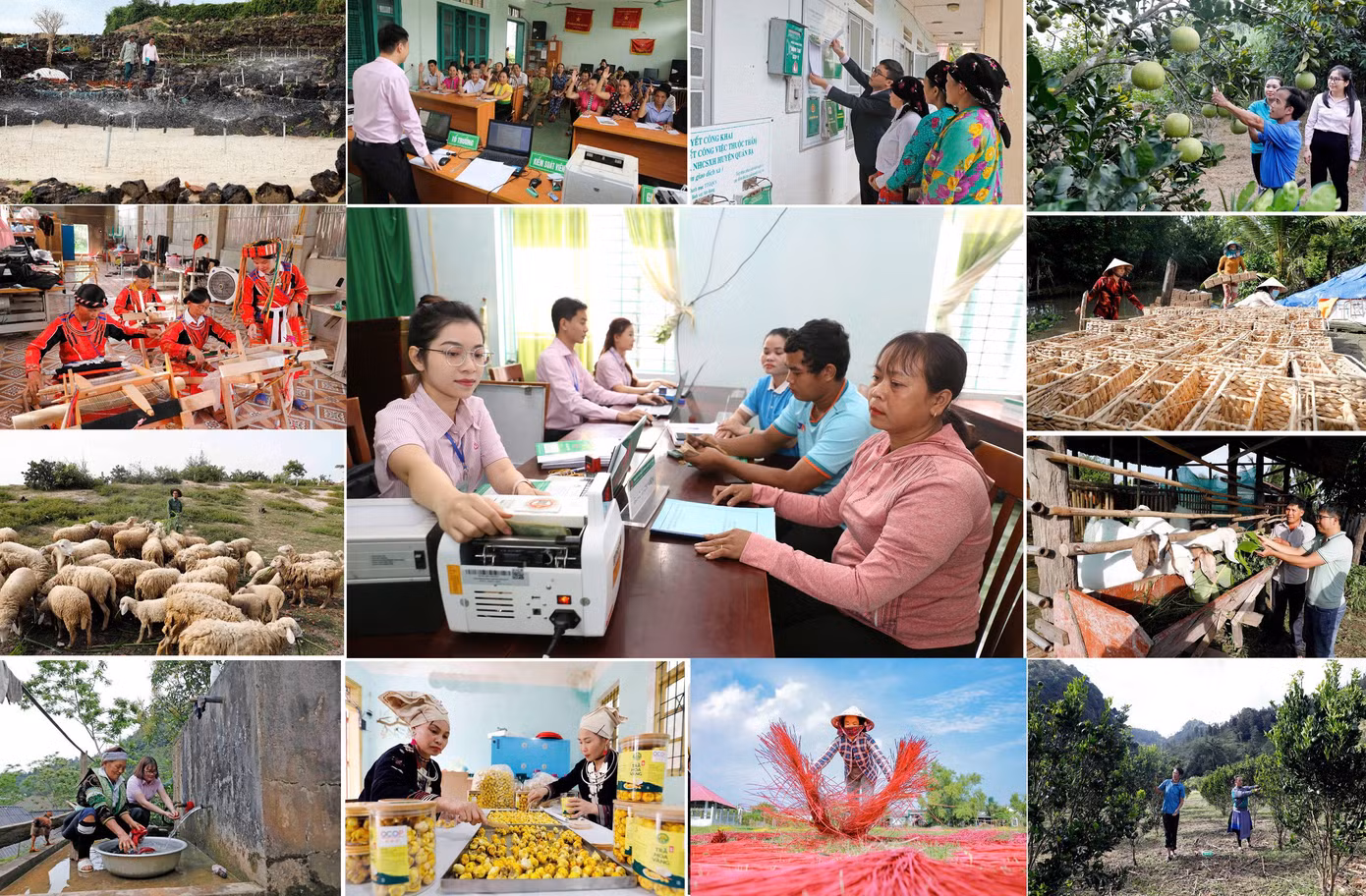 Đảng bộ NHCSXH TW đã lãnh đạo thực hiện thắng lợi, toàn diện các chỉ tiêu Nghị quyết đại hội lần thứ V, nhiệm kỳ 2020 - 2025 Ảnh: Hữu Trung