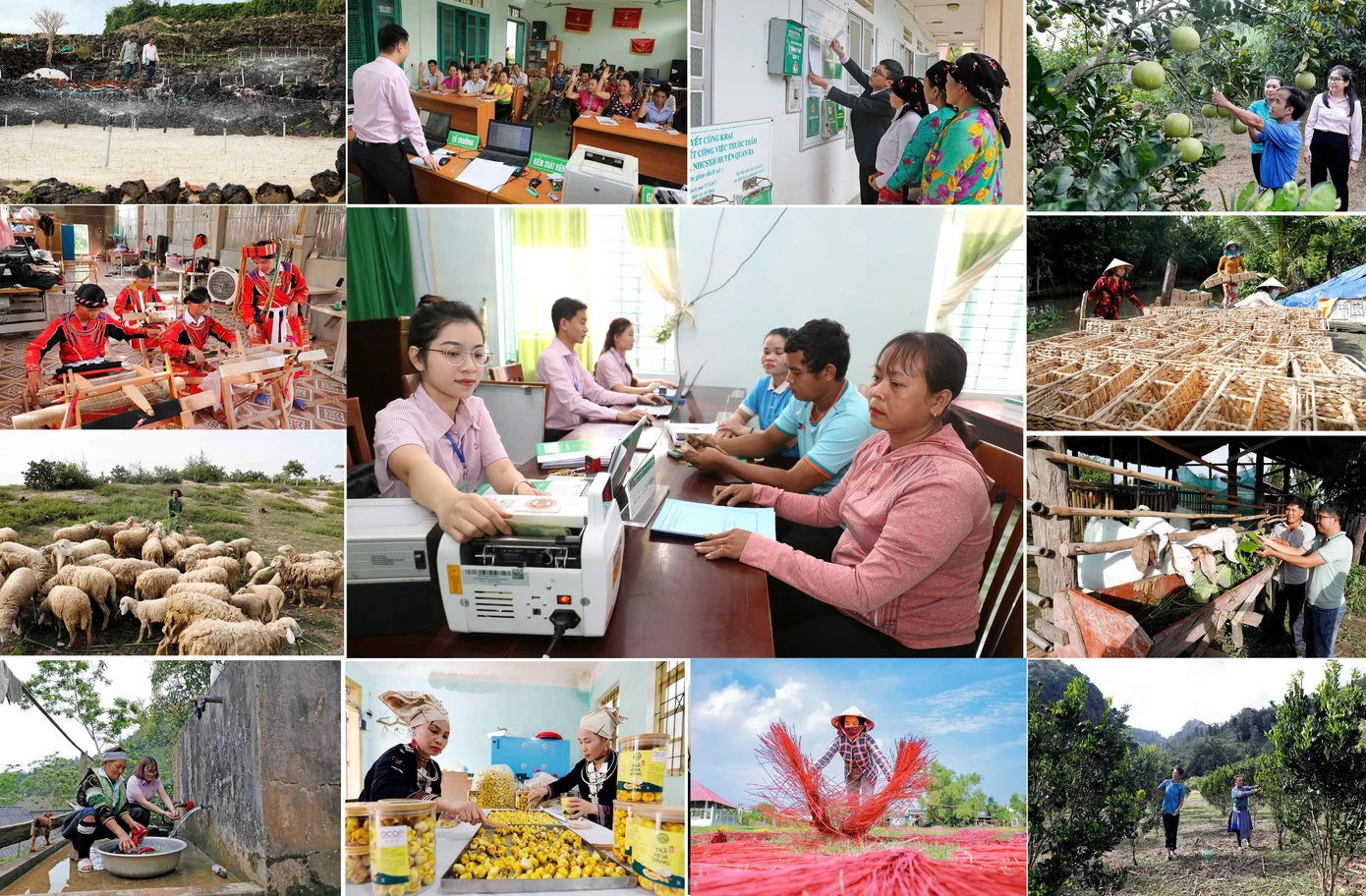 Đảng bộ NHCSXH TW đã lãnh đạo thực hiện thắng lợi, toàn diện các chỉ tiêu Nghị quyết đại hội lần thứ V, nhiệm kỳ 2020 - 2025 Ảnh: Hữu Trung