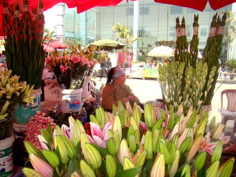 Hoa rơn, ly, hồng, huệ cùng đua sắc với nắng Hà Nội