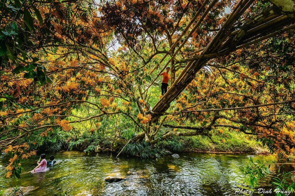 Đường đi phải qua cầu treo, có đoạn dây bị đứt nên các bạn chú ý không nên đứng trên cầu treo khi đông người. Ảnh: Đình Hùng Đường đi phải qua cầu treo, có đoạn dây bị đứt nên các bạn chú ý không nên đứng trên cầu treo khi đông người. Ảnh: Đình Hùng