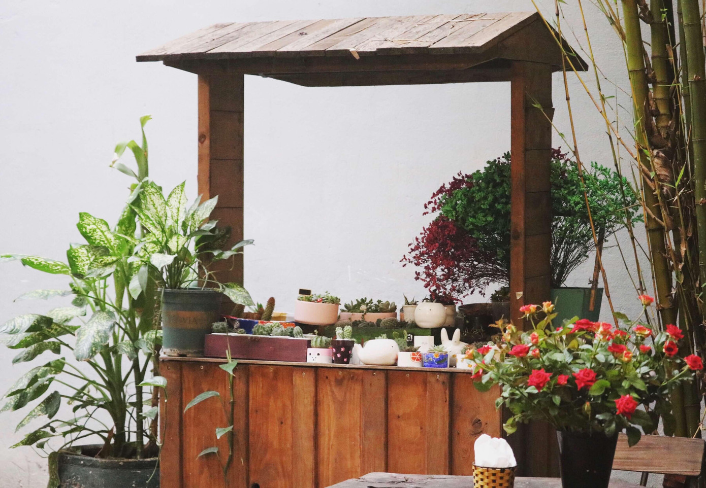 Những cây xương rồng, sen đá được đặt trong chậu sứ nhỏ xíu, xếp chồng lên nhau, xung quanh còn có những lọ hoa khô, hoa tươi. Những cây xương rồng, sen đá được đặt trong chậu sứ nhỏ xíu, xếp chồng lên nhau, xung quanh còn có những lọ hoa khô, hoa tươi.