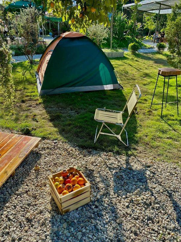 Giỏ hồng đầy ắp sau khi được hái từ trên cây.