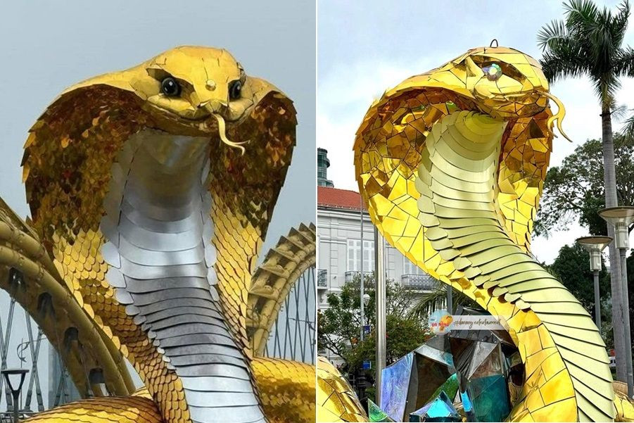 "Mỗi Rắn một vẻ, mười phân vẹn mười". Ảnh: Moon Black và Đà Nẵng Page