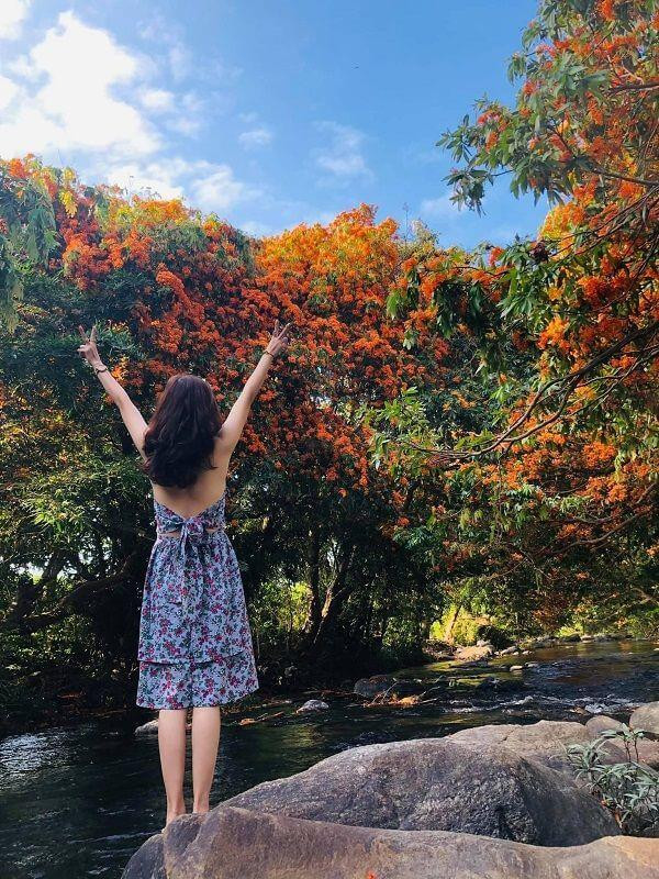 Ảnh: Lê Hồng Sơn Ảnh: Lê Hồng Sơn