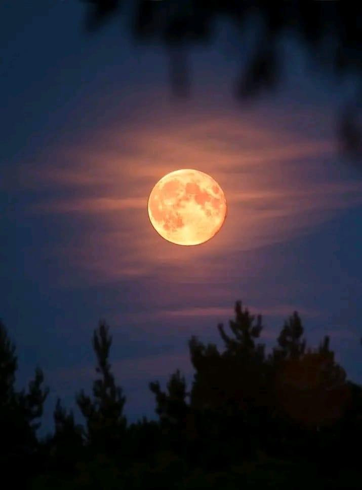 Ảnh: Bohol Shout Out