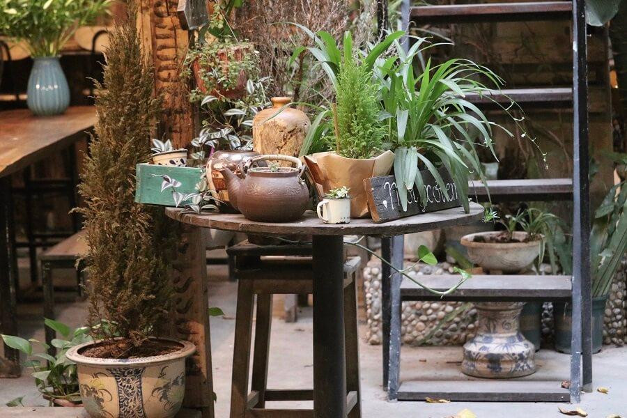 Vẻ đẹp tươi mát, bầu không khí trong lành của khu vườn Nhà 41 còn được nhân lên gấp bội nhờ có sự hiện diện của những chậu cây tràn đầy sức sống xanh. Vẻ đẹp tươi mát, bầu không khí trong lành của khu vườn Nhà 41 còn được nhân lên gấp bội nhờ có sự hiện diện của những chậu cây tràn đầy sức sống xanh.