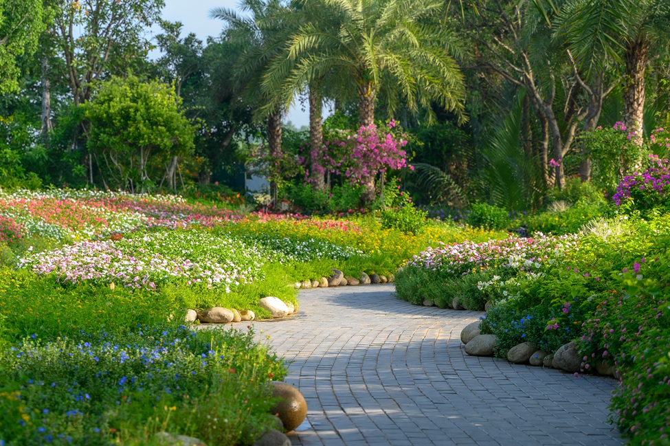 Cảnh quan, cây xanh tại Ecovillage Saigon River được chủ đầu tư chăm chút tỉ mỉ