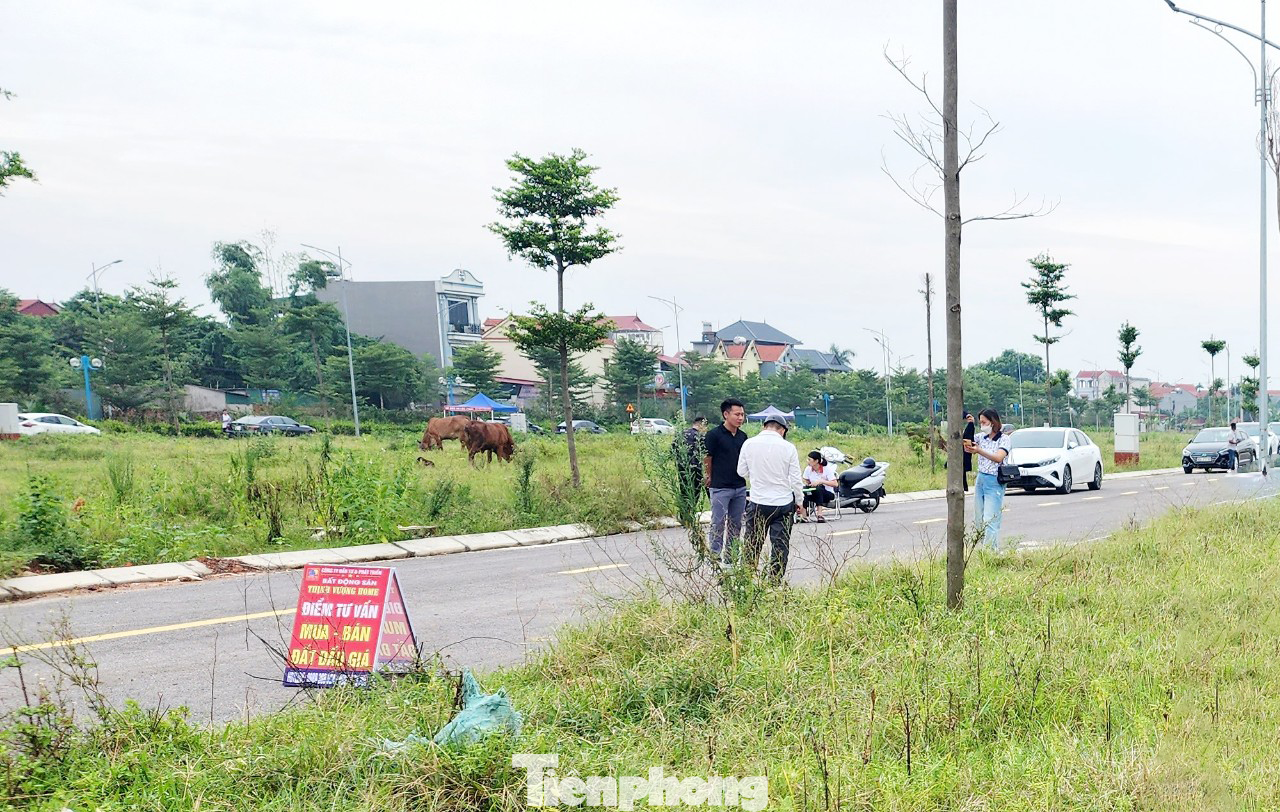 Cơ quan chức năng Bắc Giang thông báo tạm dừng giao dịch với loạt lô đất đấu giá vì đơn vị tổ chức gian lận và khách hàng thông đồng dìm giá.