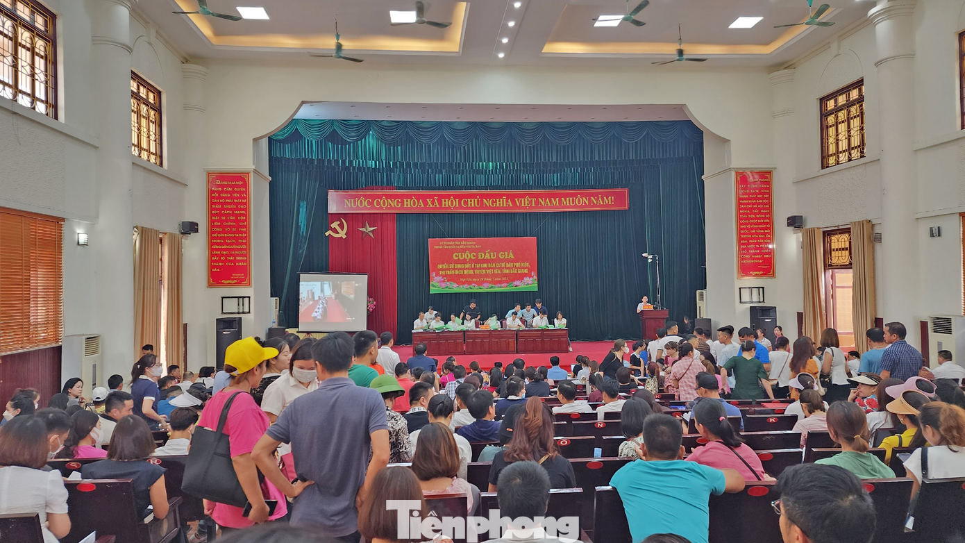 Loạt lô đất ở thuộc thị xã Việt Yên, từng được đưa ra đấu giá nhưng không thành công, mới đây được đưa ra đấu giá với mức trúng cao. (Ảnh minh họa)