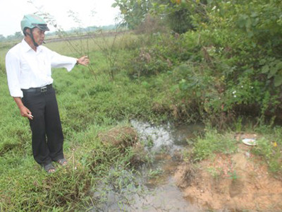 Mộ rùa đá mới được phát hiện đầu năm nay