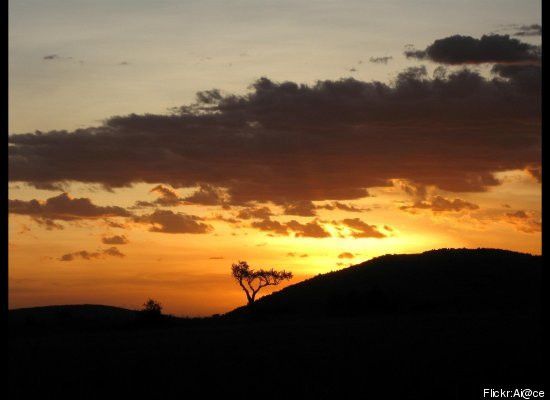 Ngắm mặt trời mọc trên thế giới ảnh 18