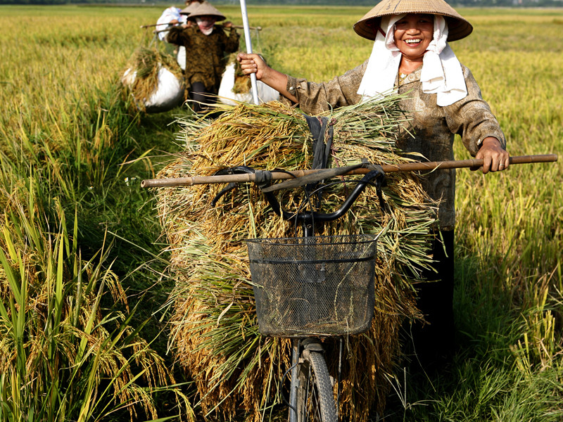 Người nông dân sẽ an tâm đầu tư lớn trên đất nông nghiệp một khi họ có quyền sở hữu lâu dài. Ảnh: Hồng Vĩnh. Người nông dân sẽ an tâm đầu tư lớn trên đất nông nghiệp một khi họ có quyền sở hữu lâu dài. Ảnh: Hồng Vĩnh