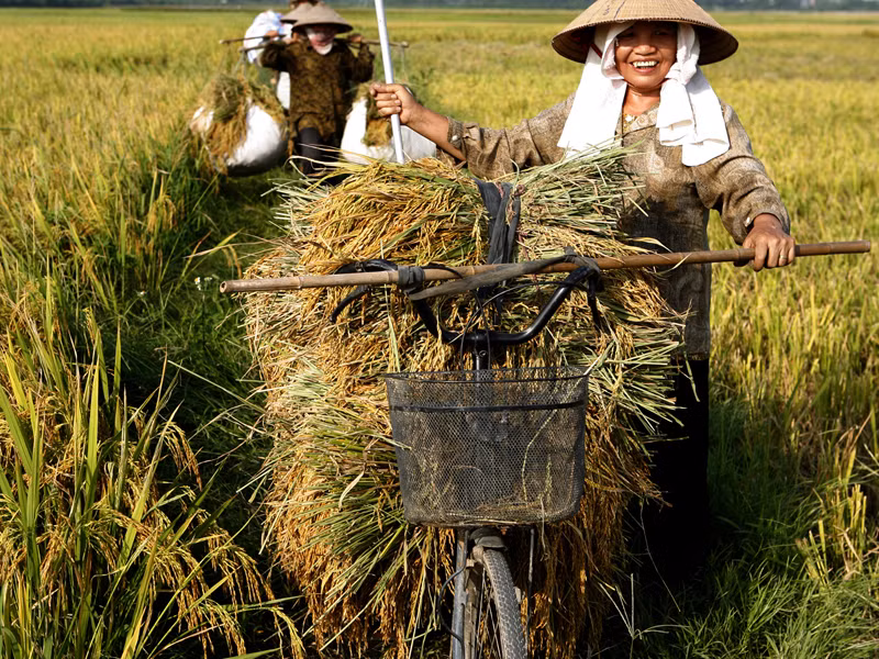Người nông dân sẽ an tâm đầu tư lớn trên đất nông nghiệp một khi họ có quyền sở hữu lâu dài. Ảnh: Hồng Vĩnh