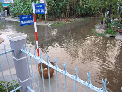 Nhiều tuyến đường khu dân cư phường 5 không thể đi lại vì ngập sâu trong nước