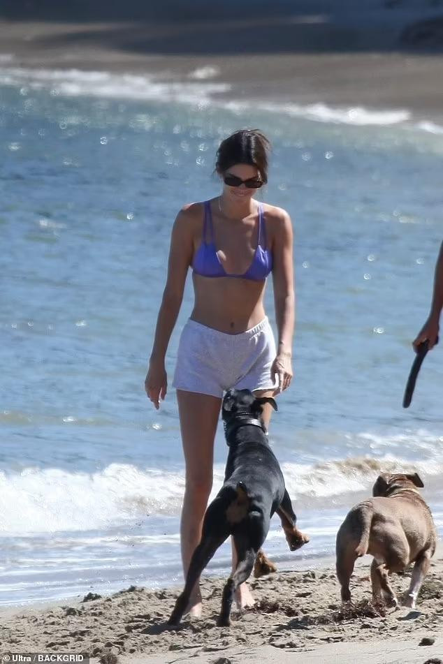 Kendall dành thời gian chơi đùa với chó cưng Pyro trên bãi biển.