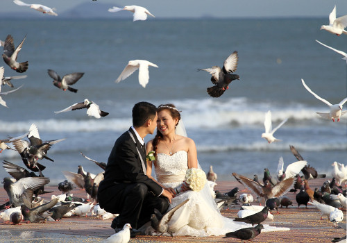 Đường Võ Nguyên Giáp cũng sẽ 