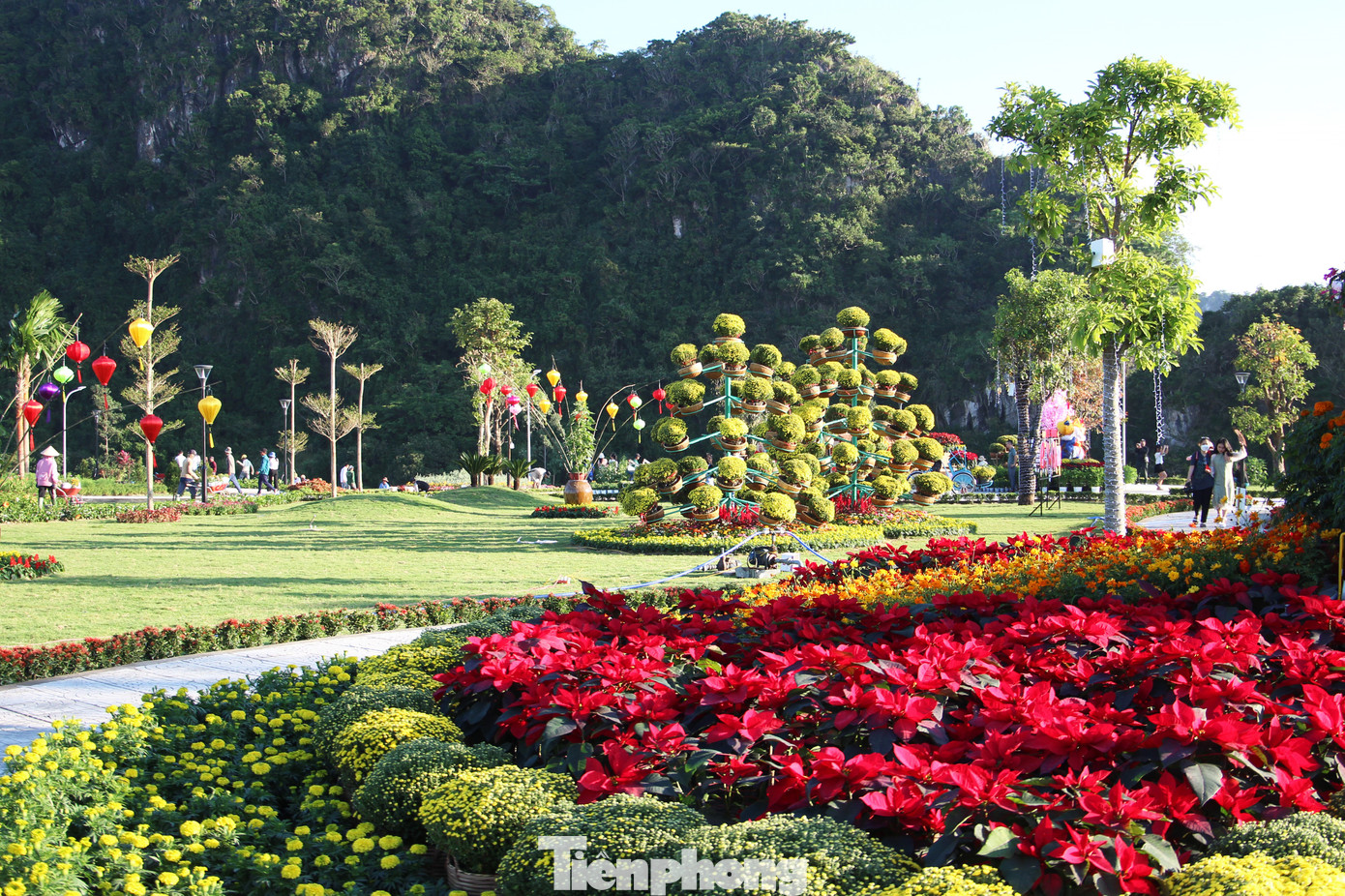 Khu vực công viên được trang trí nhiều loại hoa đặc trưng dịp Tết như: hoa đồng tiền, mâm xôi, cánh bướm, hoa trạng nguyên, hoa xác pháo, vạn thọ ... rực rỡ sắc màu.
