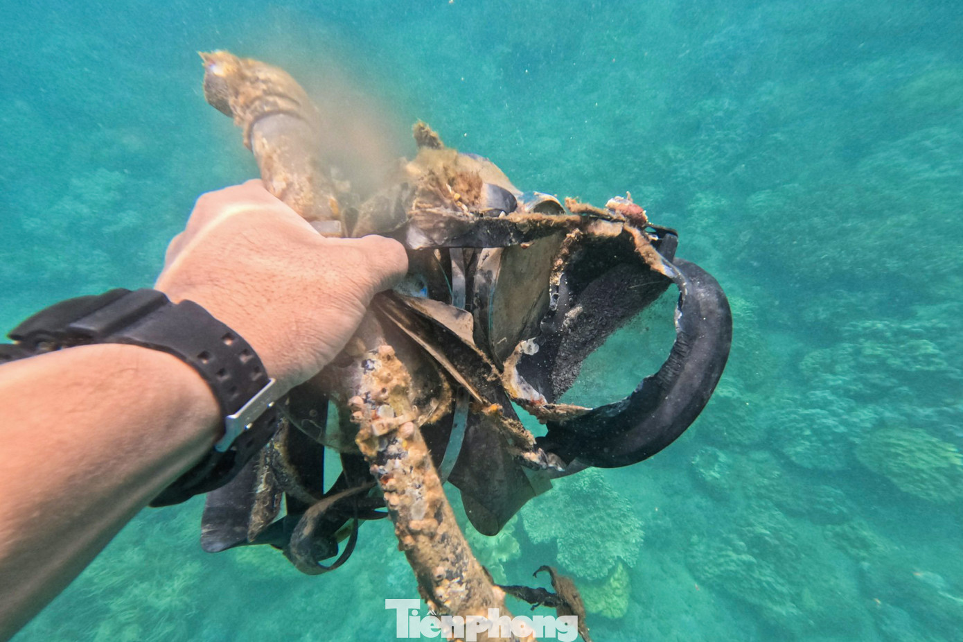 Ông Phan Minh Hải, Phó Trưởng Ban quản lý Bán đảo Sơn Trà và các bãi biển du lịch Đà Nẵng kỳ vọng, thông qua hoạt động lặn biển nhặt rác, người dân và du khách sẽ hình thành ý thức "mang rác về nhà" khi đi du lịch để chung tay bảo vệ môi trường sống cho các sinh vật biển, xây dựng hình ảnh Bán đảo Sơn Trà là điểm đến du lịch xanh.