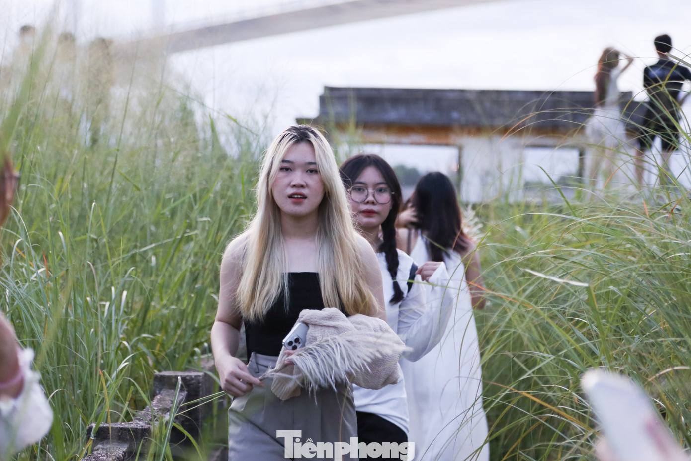 "Làm việc ở Đà Nẵng nhiều năm, năm nào đến mùa lau, tôi cùng bạn bè đều sắp xếp để chụp hình. Khung cảnh ở đây rất đẹp nên hầu như năm nào cũng rất đông người chen chân", chị Trang nói.