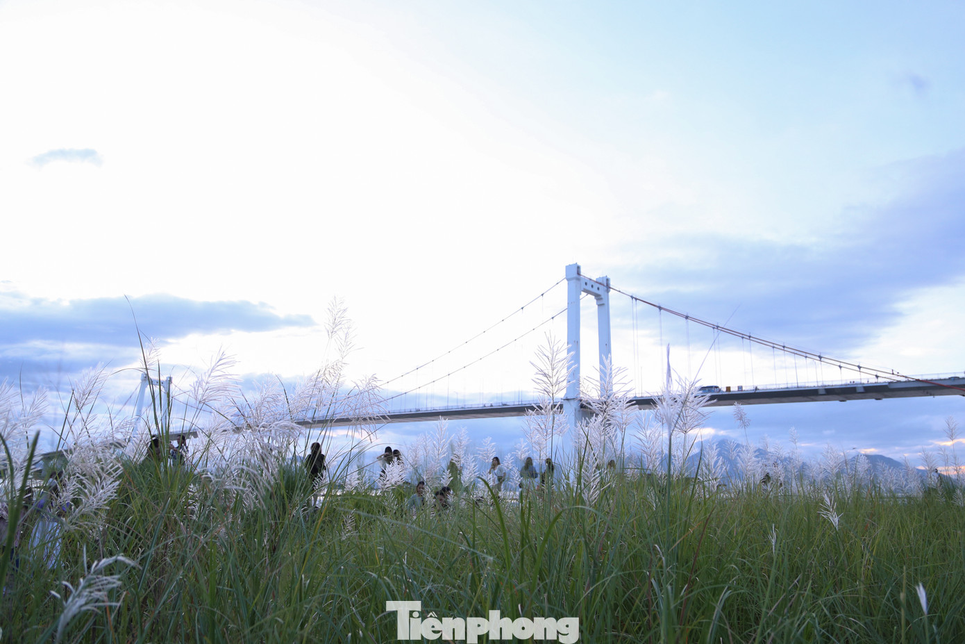 Chị Nguyễn Thị Huyền Trang (quận Thanh Khê) cùng bạn bè có mặt ở khu vực này từ khoảng 16h30 chiều, tuy nhiên, ở các vị trí đẹp, chị cùng nhóm bạn cũng phải xếp hàng để "xí" chỗ.