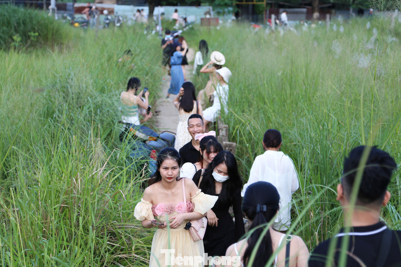 Vì nằm ngay dọc tuyến đường Trần Hưng Đạo, thuận tiện di chuyển nên bãi lau này thu hút rất đông các bạn trẻ ghé lại dịp cuối tuần để check in. Con đường nhỏ dẫn vào khu vực này luôn tấp nập, nhộn nhịp.