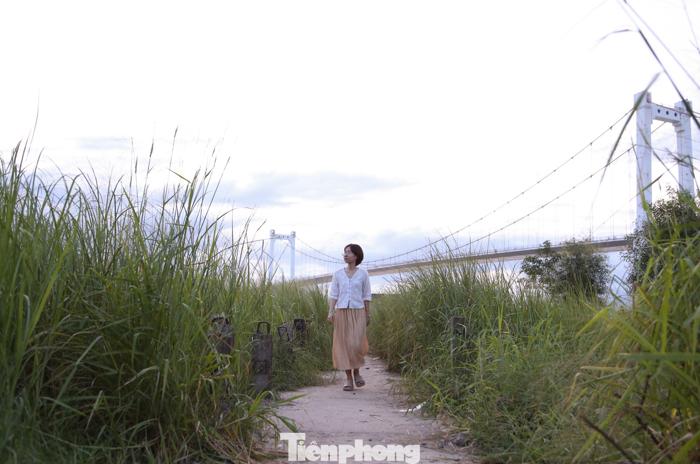 Mùa cỏ lau trắng rất ngắn, chỉ kéo dài độ một tháng, nên khi nghe thông tin lau nở, rất nhiều người tranh thủ đến chụp ảnh kỷ niệm.