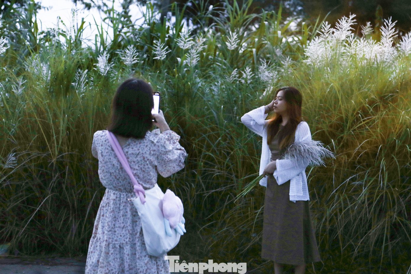 Không chỉ ở khu vực chân cầu Thuận Phước, những bãi lau trắng ở khu vực phường Nại Hiên Đông, Thọ Quang (quận Sơn Trà) cũng tấp nập các bạn trẻ ghé chân vào thời điểm chiều tà, hoàng hôn.