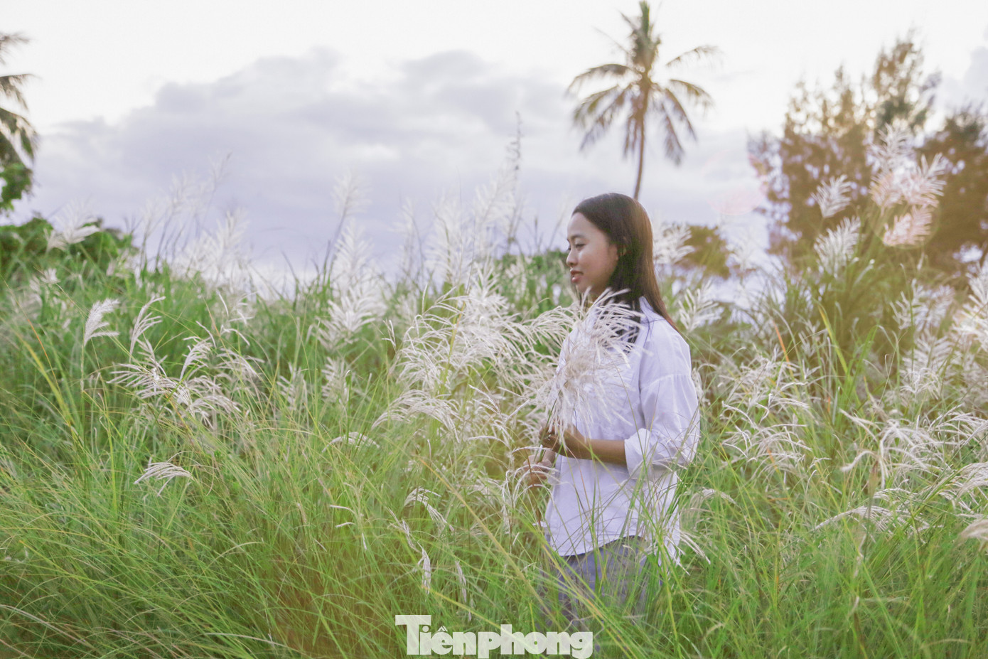 Những cánh đồng lau trắng muốt đã trở thành "đặc sản" của thành phố biển Đà Nẵng dịp cuối năm, thu hút người dân và du khách ghé chân, lưu giữ những khoảnh khắc thơ mộng.