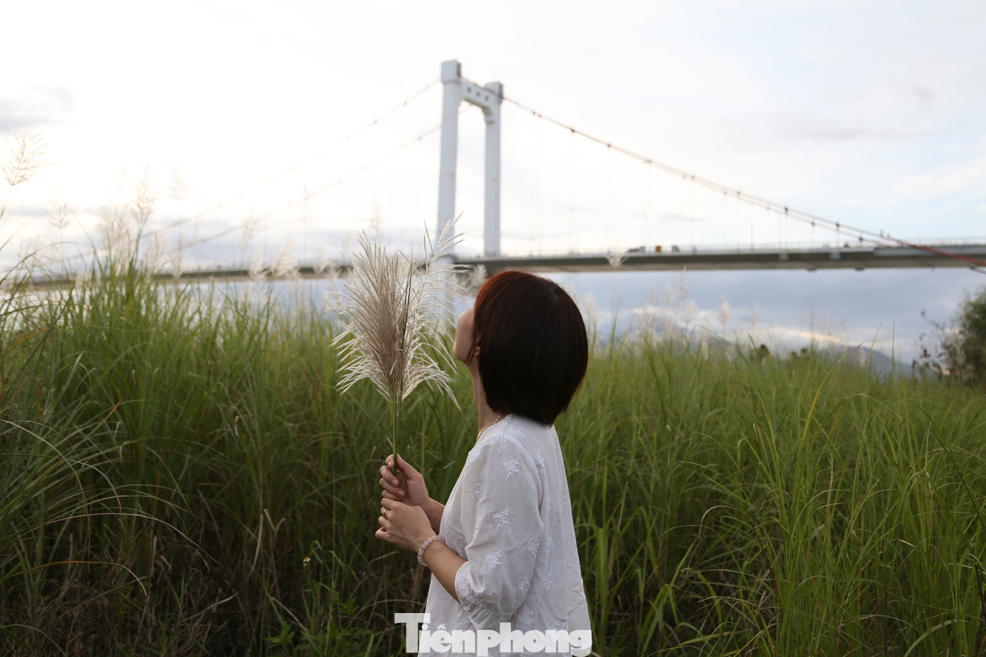 "Làm việc ở Đà Nẵng nhiều năm, năm nào đến mùa lau, tôi cùng bạn bè đều sắp xếp để chụp hình. Khung cảnh ở đây rất đẹp nên hầu như năm nào cũng rất đông người chen chân", chị Trang nói.