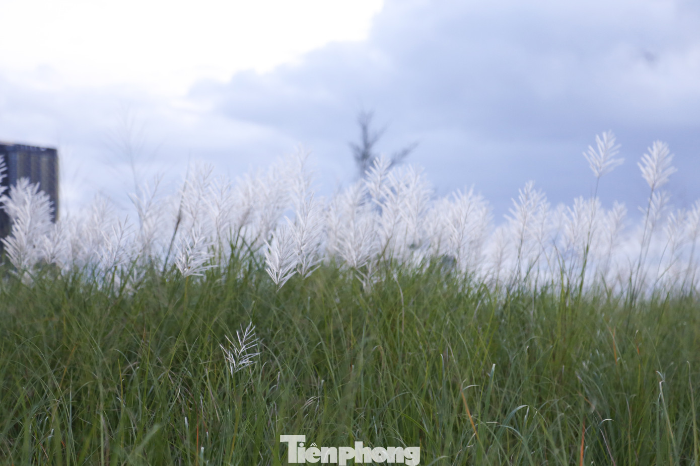 Chị Nguyễn Thị Huyền Trang (quận Thanh Khê) cùng bạn bè có mặt ở khu vực này từ khoảng 16h30 chiều, tuy nhiên, ở các vị trí đẹp, chị cùng nhóm bạn cũng phải xếp hàng để "xí" chỗ.