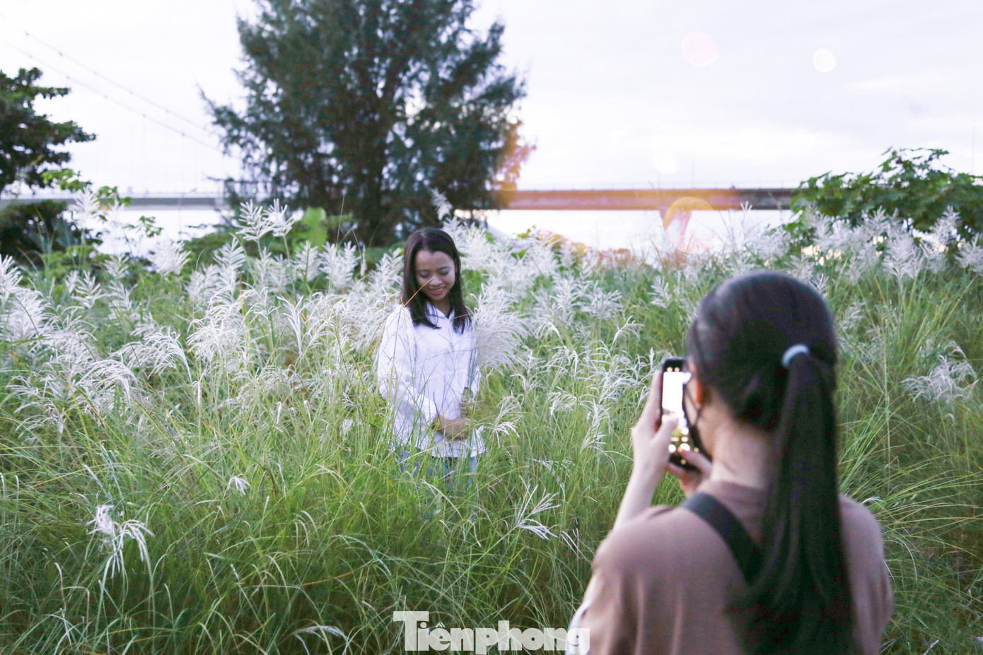 Không chỉ ở khu vực chân cầu Thuận Phước, những bãi lau trắng ở khu vực phường Nại Hiên Đông, Thọ Quang (quận Sơn Trà) cũng tấp nập các bạn trẻ ghé chân vào thời điểm chiều tà, hoàng hôn.