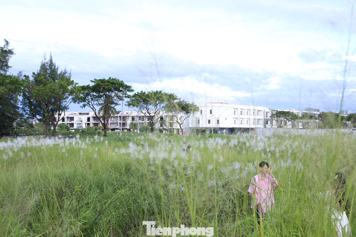 Bên cạnh những hình ảnh bên cánh đồng lau trắng muốt, tại đây, người dân và du khách cũng có thể dễ dàng "bắt" khoảnh khắc đẹp với cầu Thuận Phước - một công trình độc đáo của Đà Nẵng.